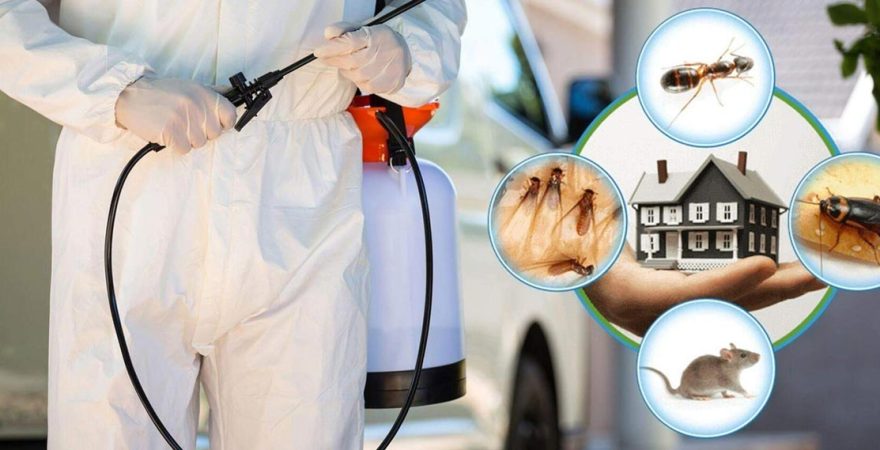 Doğanlar Böcek İlaçlama