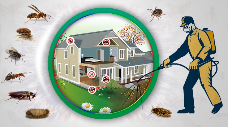 Doğanlar Böcek İlaçlama