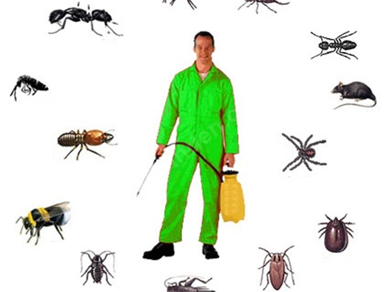 Doğanlar Böcek İlaçlama